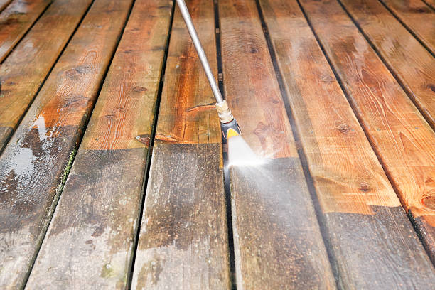 Best Driveway Pressure Washing  in Kurtistown, HI